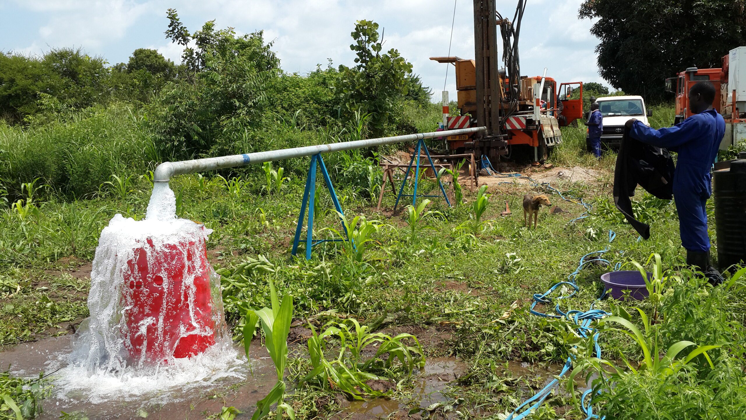 Water quality testing